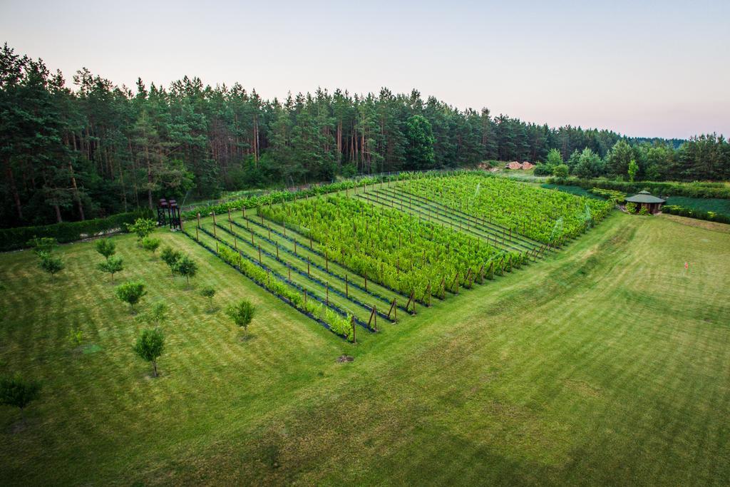 Warminska Winnica Barczewo Extérieur photo