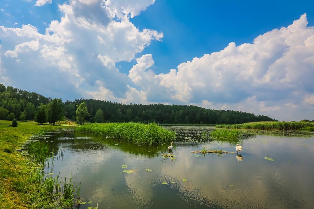 Warminska Winnica Barczewo Extérieur photo